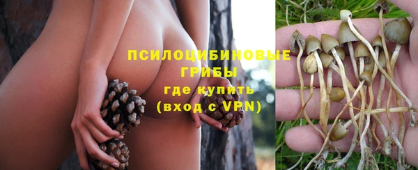 винт Нефтегорск