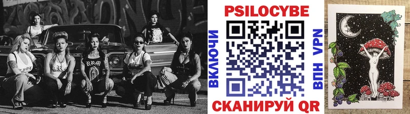 Купить где  Сим  Псилоцибиновые грибы мицелий 